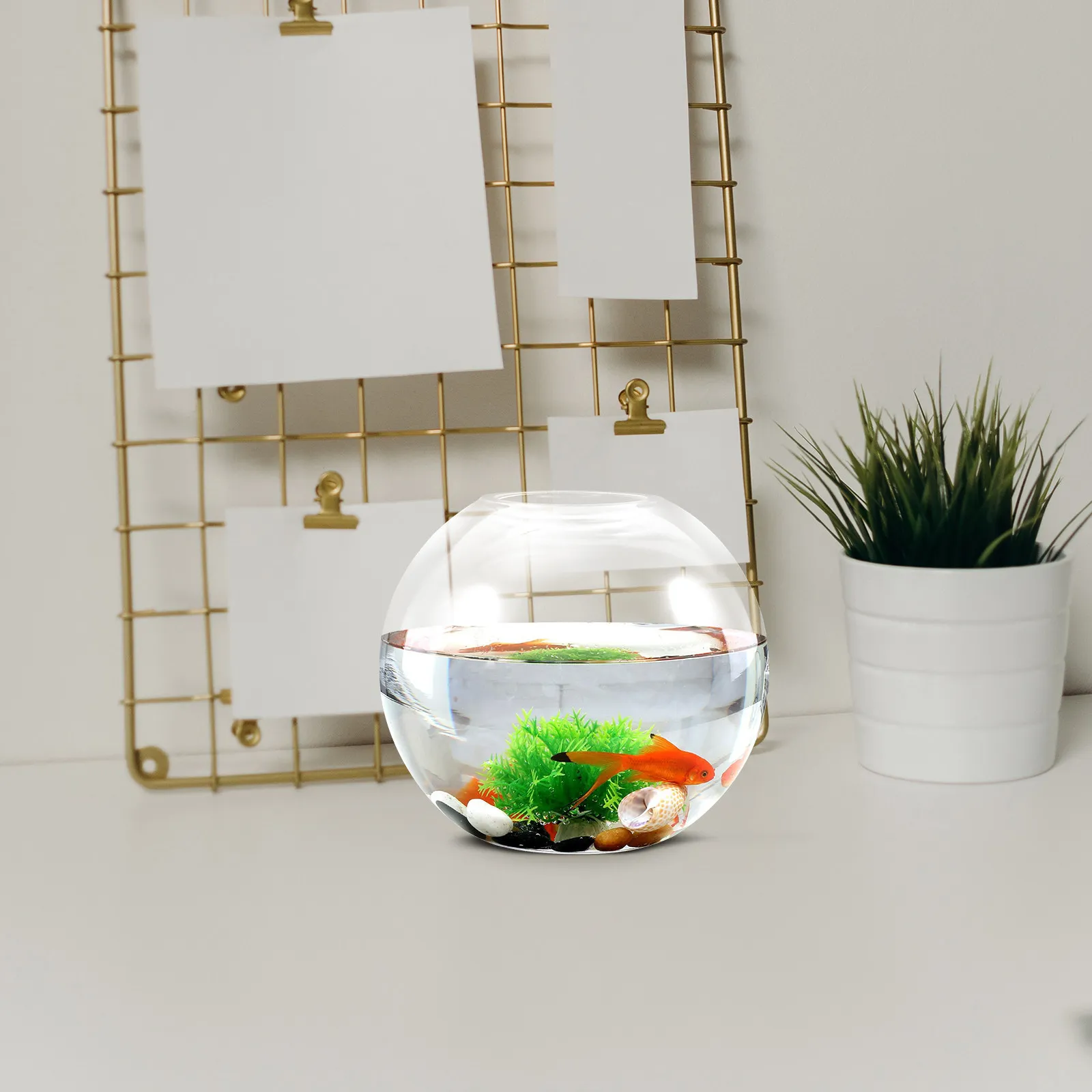 

Round Glass Fish Bowl Vase Terrarium Container for DIY Micro Landscape Hydroponic Plants Desktop Ecological Bottle Decorative