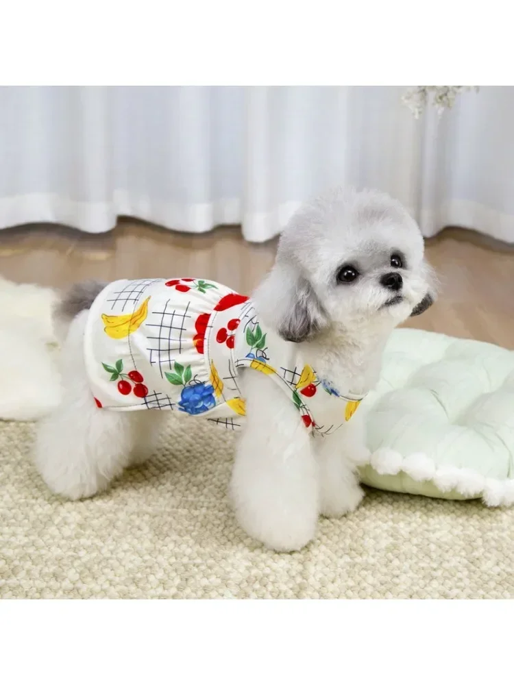 Princess Style Skirt for Spring and Summer, Thin Version for Teddy, Pomeranian, Small and Young Dogs, Size 26 Banana Leash Skirt