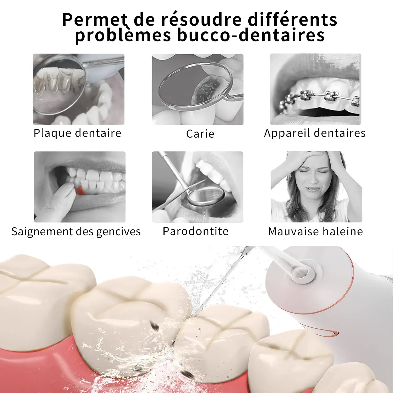 Seago SG-8001 Multi-function USB Charging Big Tank Detachable Portable Water Flosser With IPX7 Waterproof