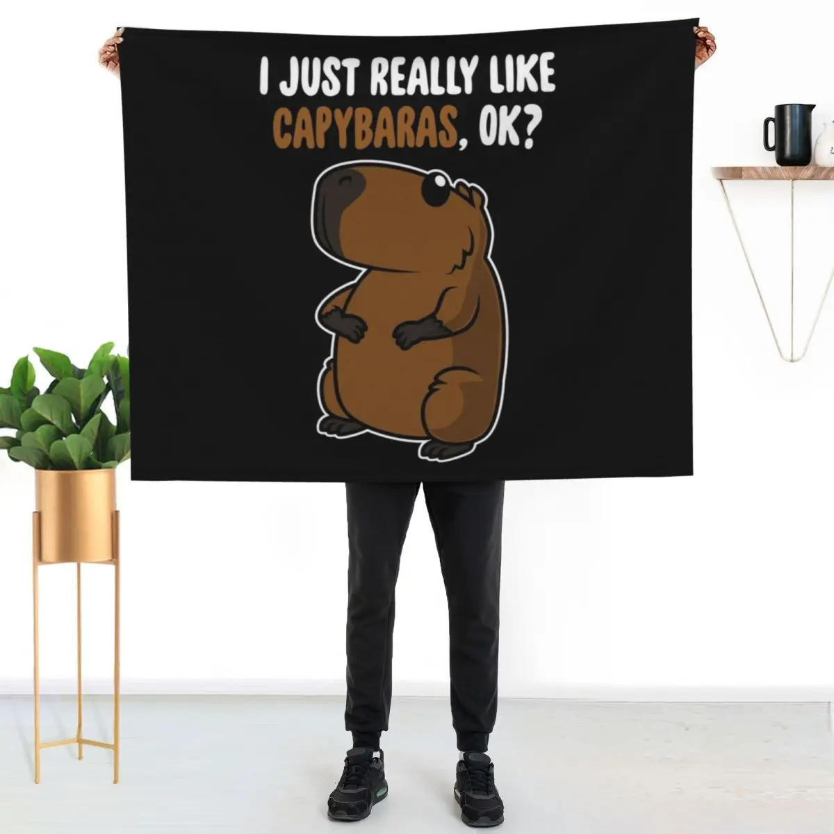 I Just Really Like Capybaras OK ? Cute Toddlers Kids product Throw Blanket Comforter Flannel Fabric Furry Thins Blankets