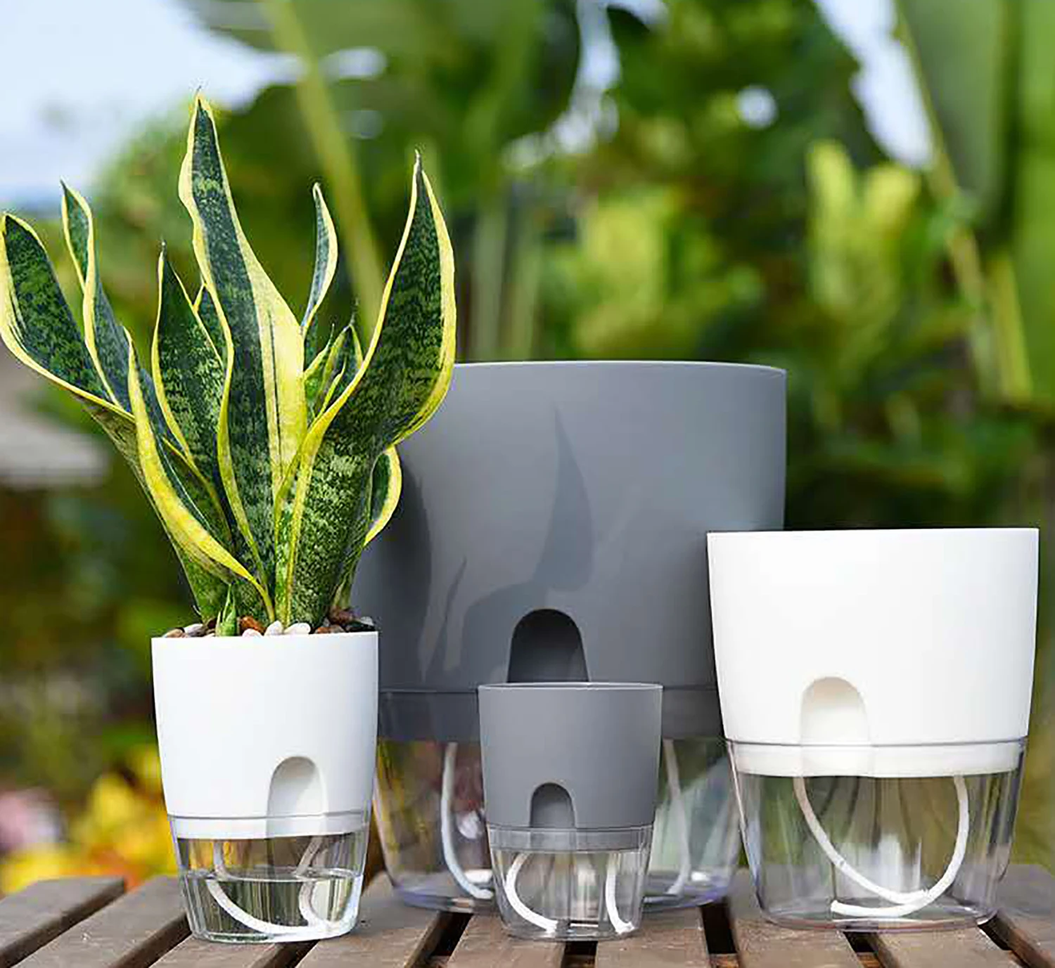 8.2/10.5/15.3/23.5 سنتيمتر المائية وعاء الذاتي سقي اناء للزهور السائل الزراعة بدون تربة زراعة زارع القطن حبل سقي #5