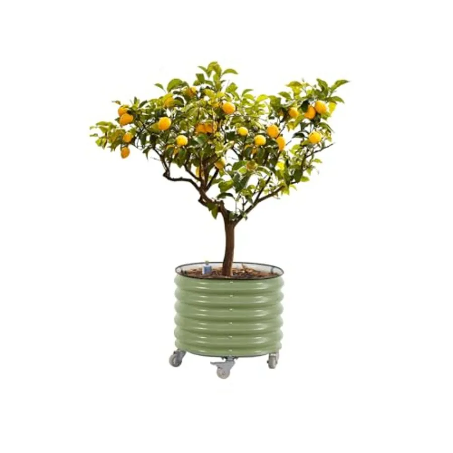 Outdoor rolling metal citrus tree planter with self-watering system, olive green round large pot for tomatoes, vegetables, flow
