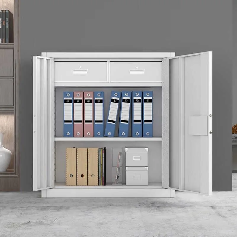 Factory Wholesale Office Filing Storage Cabinet Large Capacity 2 Drawers Steel Material With Lockable Feature Fingerprint Safe