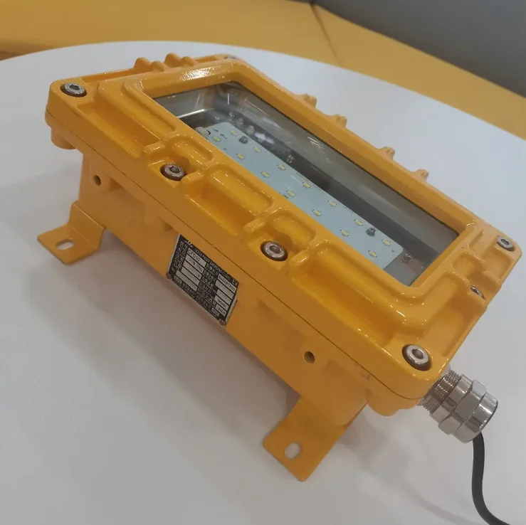 Explosion-proof Emergency Light CFD10 8W For Lighting Function And Emergency For Explosive Gas Mixture Places