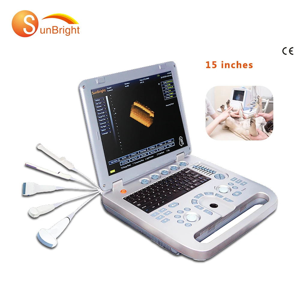 Professional Vet Echo 15 Inches Display High End Veterinary Ultrasound Animals 3D Scanner