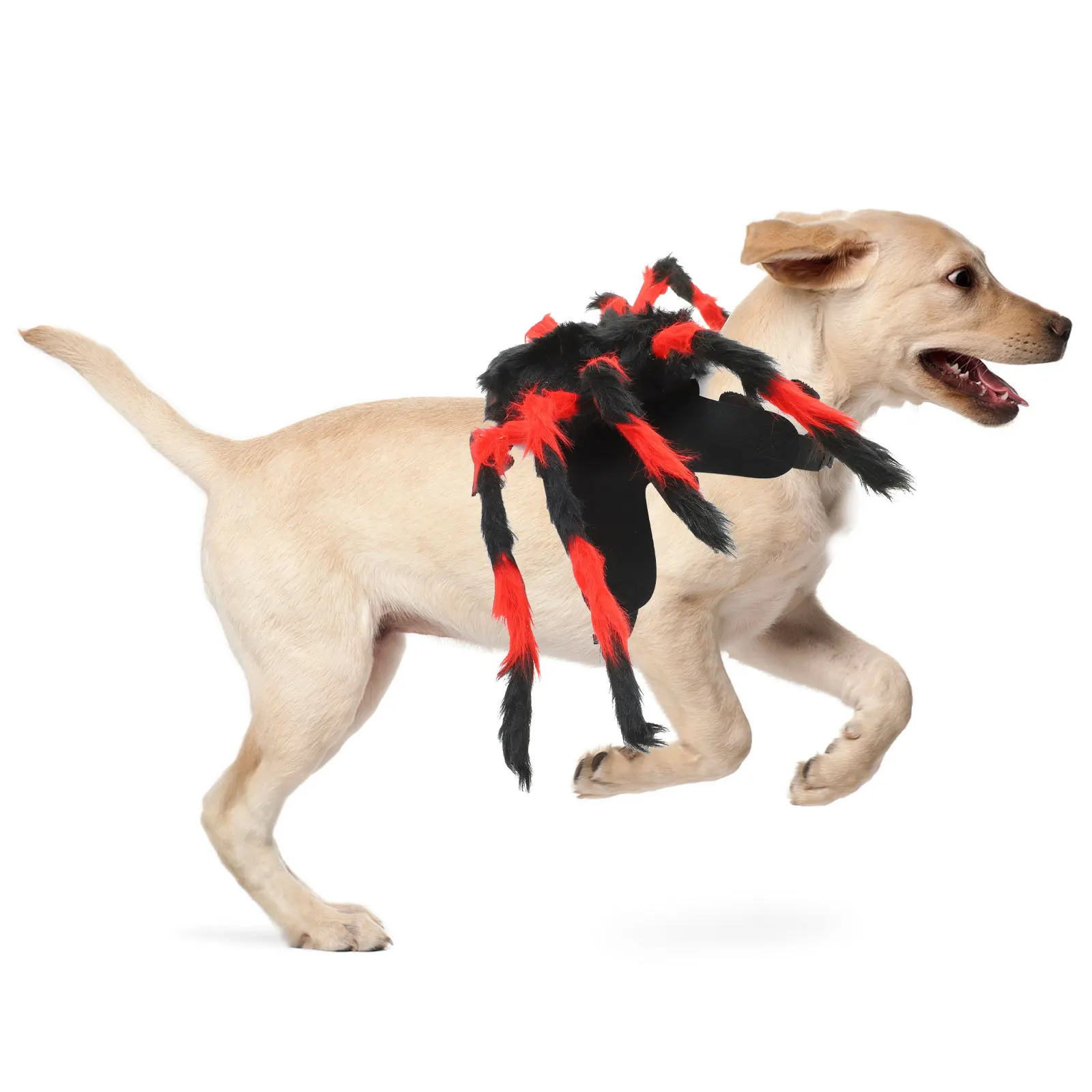 

Spider Costume For Small Cat Dog Pet Dressing Clothes Halloween Cosplay Party Wear Funny Outfit Accessories