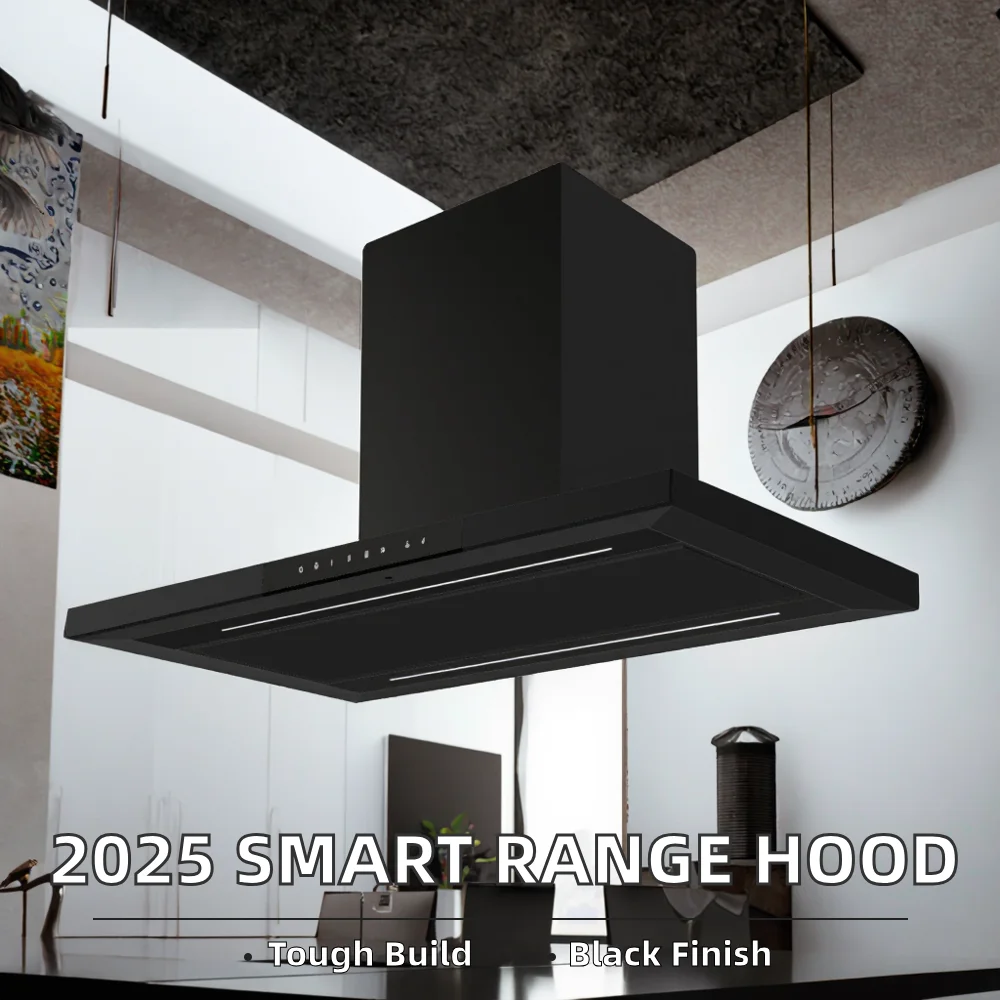 Electric Island Range Cooker Hood Ceiling-Mounted Vented Exhaust Class Energy Efficiency Black Painted/Stainless Steel Housing