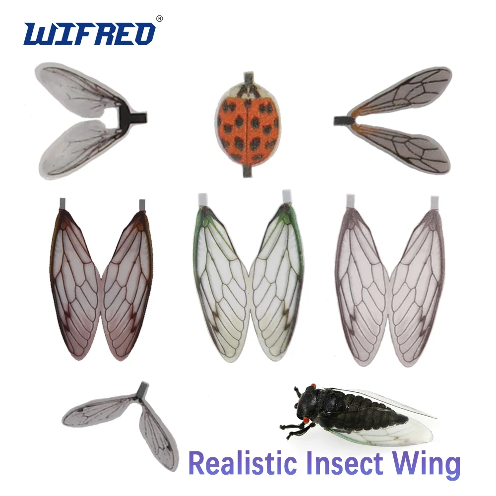 Wifreo realistyczne skrzydła owadów dorosłe skrzydła Mayfly nieprzylepne pstrągi wędkarskie suche materiały do produkcji much pre-cut muchowe skrzydła