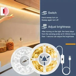 Inteligentna taśma LED Ściemnialna ręczna lampa diodowa 1M/2M/3M/5M DC 5V USB Waving ON OFF Sensor Night Light TV Kitchen Cabinet