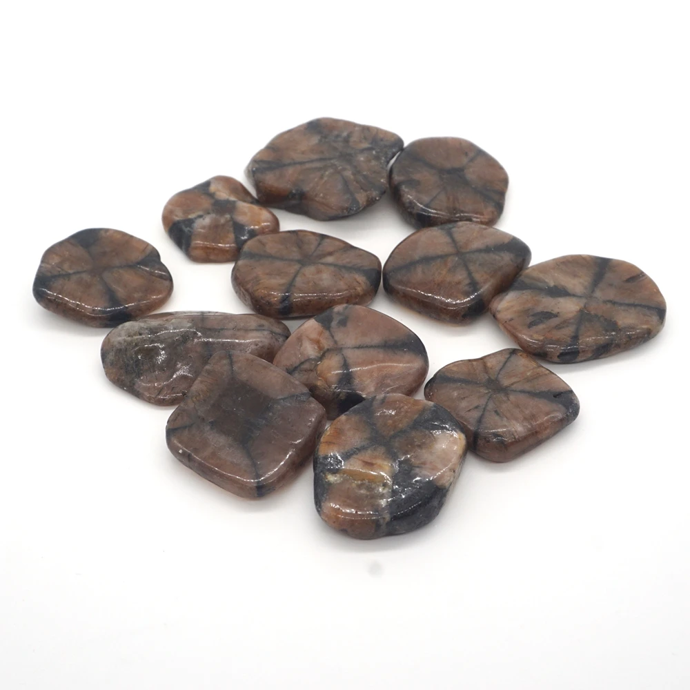 Bulk Tumbled Chiastolite Stone Natural  Gemstone Mineral Specimen Reiki Energy Crystal Quartz Healing Raw Aquarium Home Decor