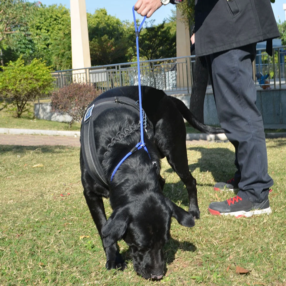 

Durable 150cm Pet Dog Leash Nylon Cotton Stretch Training Collar Adjustable Soft Black Pet Dog Leash Nylon Lead Rope