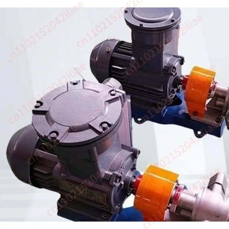 KCB Series Stainless Steel Edible oil Transfer Gear Pump Head Model KCB- 18.3/33/55 Food Grade Oil Pump Head