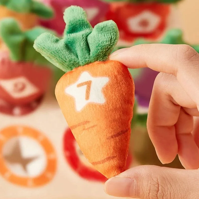 popular educational toys
