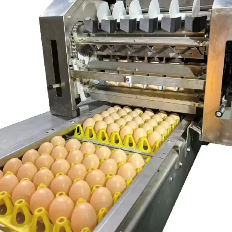 Custom Egg Weight Grader Machine Automatic Classify Size Scale Sorter for Chicken Eggs Poultry Farm Sorting Equipment