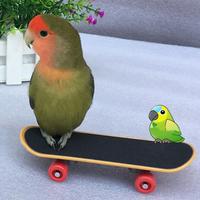 Durable Toy Mini Skateboard Parrot Bird Cage Chew Training Ornaments Gift