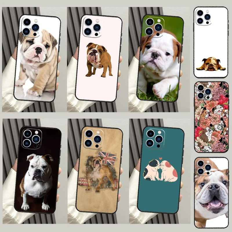 English Bulldog Pho… - image