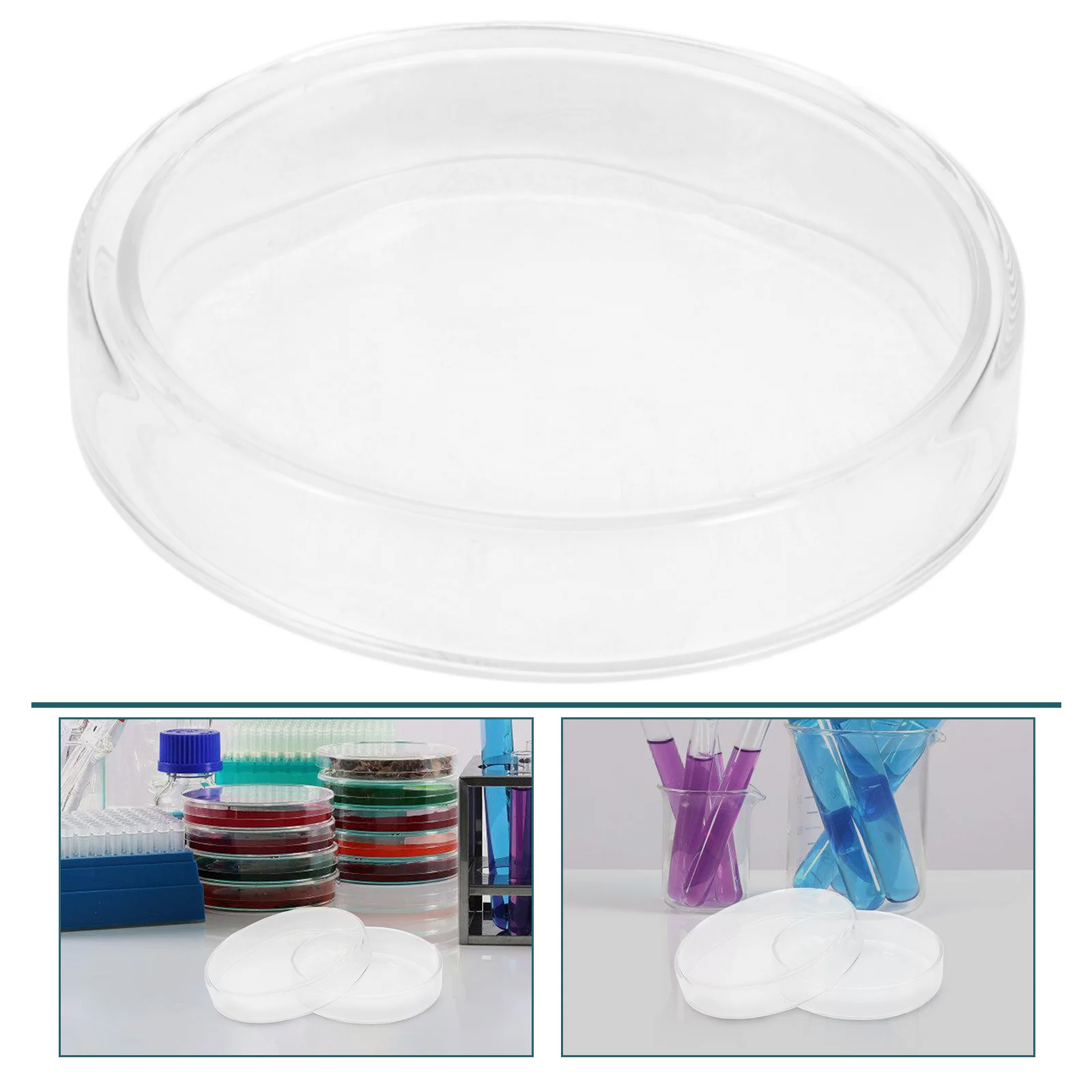 

Chemistry Petri Dish High Borosilicate Glass Dishes Cell Equipment Plates Laboratory Empty