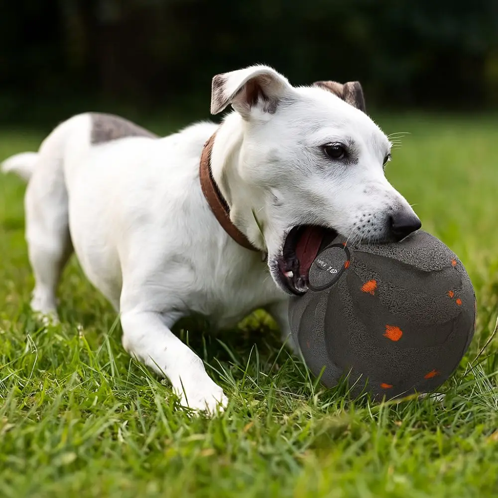 

Bite Resistant Smart Dog Toy Ball USB Rechargeable Wear Resistant Automatic Moving Ball Toy with Light Durable Dog Bouncing Ball