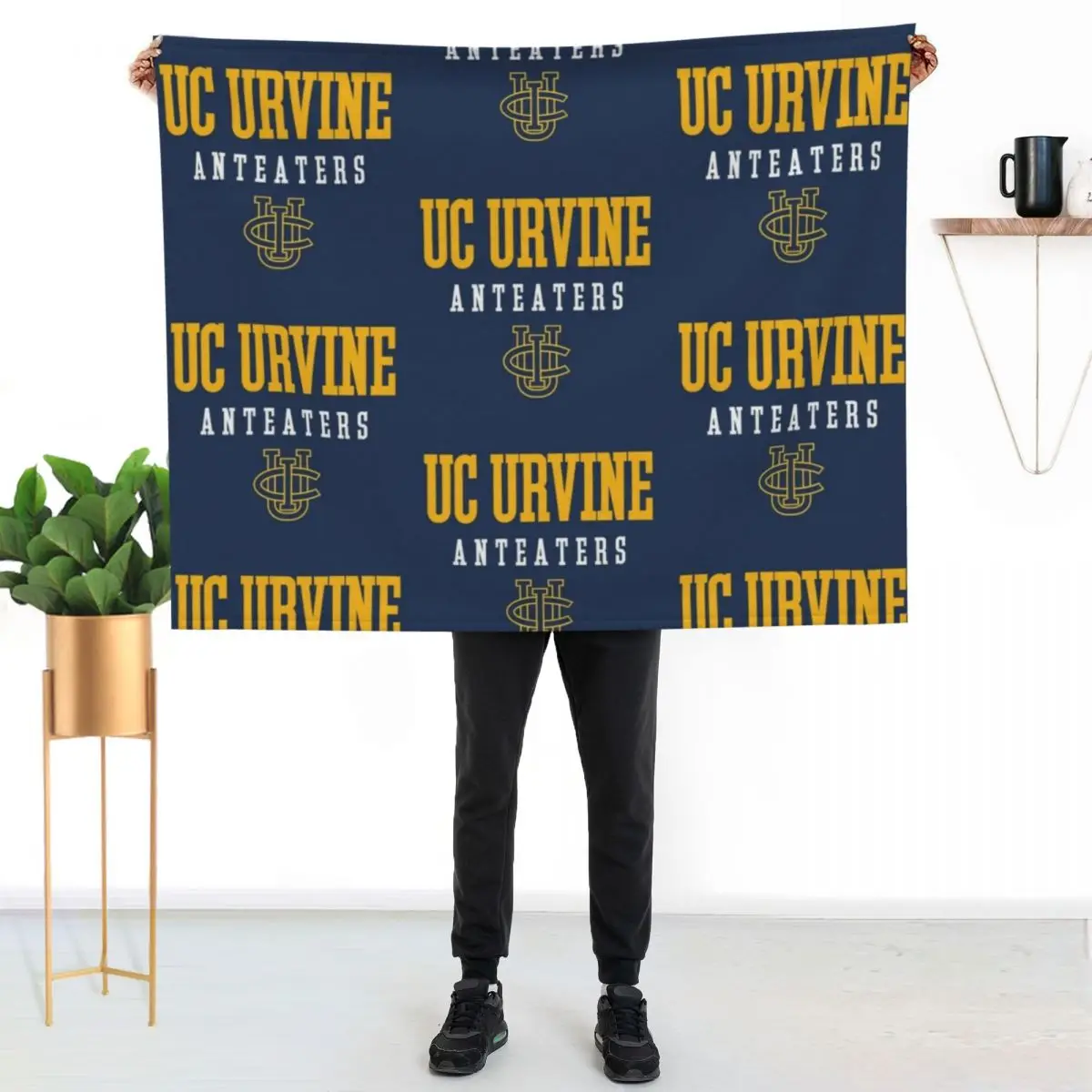 Uc Urvine Anteaters…