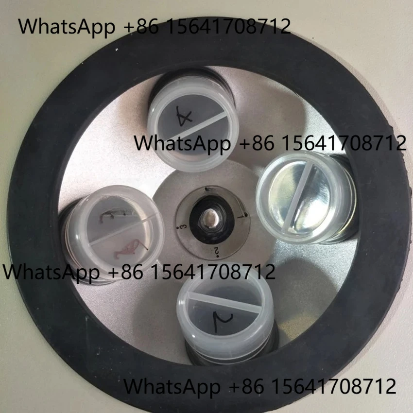 Peiqi 4 Laboratory …