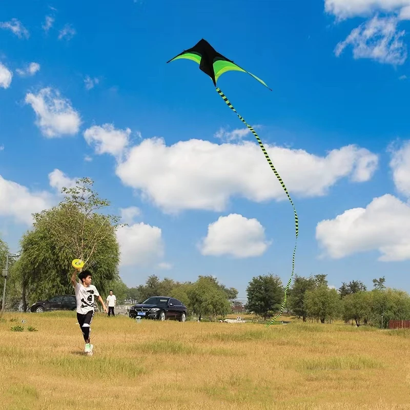 大型凧飛行デルタ凧子供用凧ビーチ凧屋外おもちゃ虹凧ラインプロフェッショナル凧パラシュートリップストップ鯉