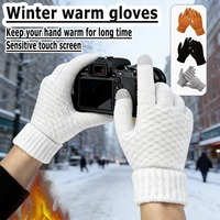 Winter Warm Pineapple Texture Gloves, Elastic Knitted Cuffs, Warm Locking, Sensitive Touch Screen- Unisex