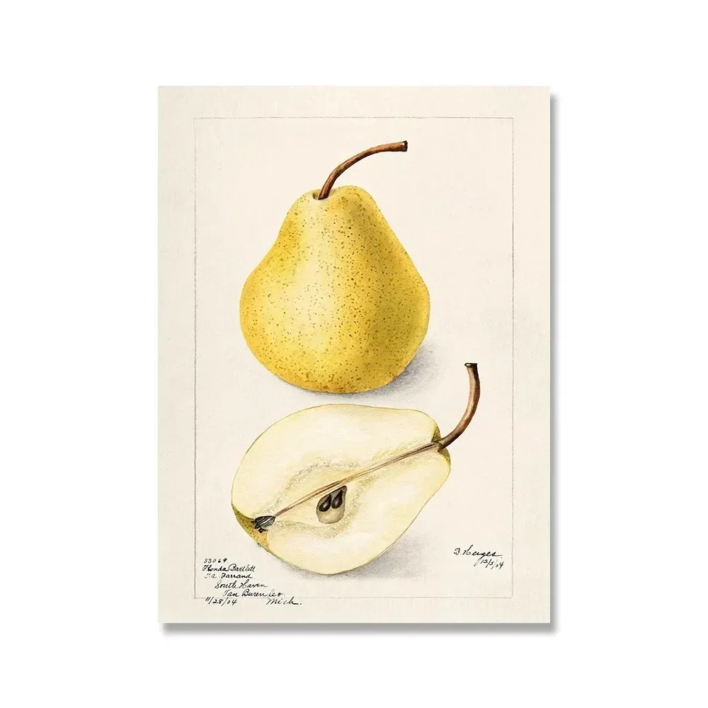Frameless Canvas Painting Vintage Retro Fruit Poster Avocado Strawberry Scandinavian Canvas Painting Wall Art Posters Prints Dec