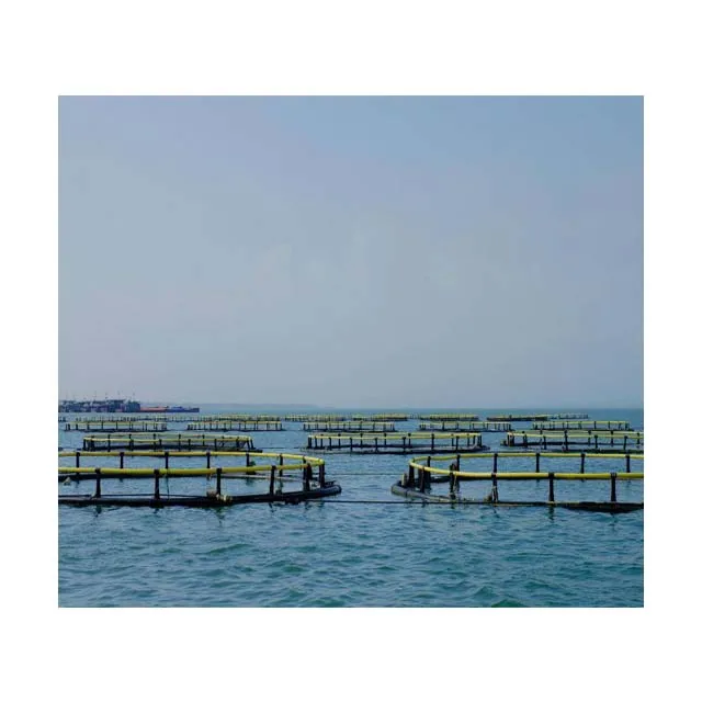

Highly recommended for aquaculture traps Fish farming cages float for sale Fish traps