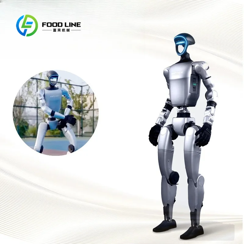 Basic Humanoid Robot Agent More Flexible AI for Education Business Applications Silver Customized aliexpress custom stickers