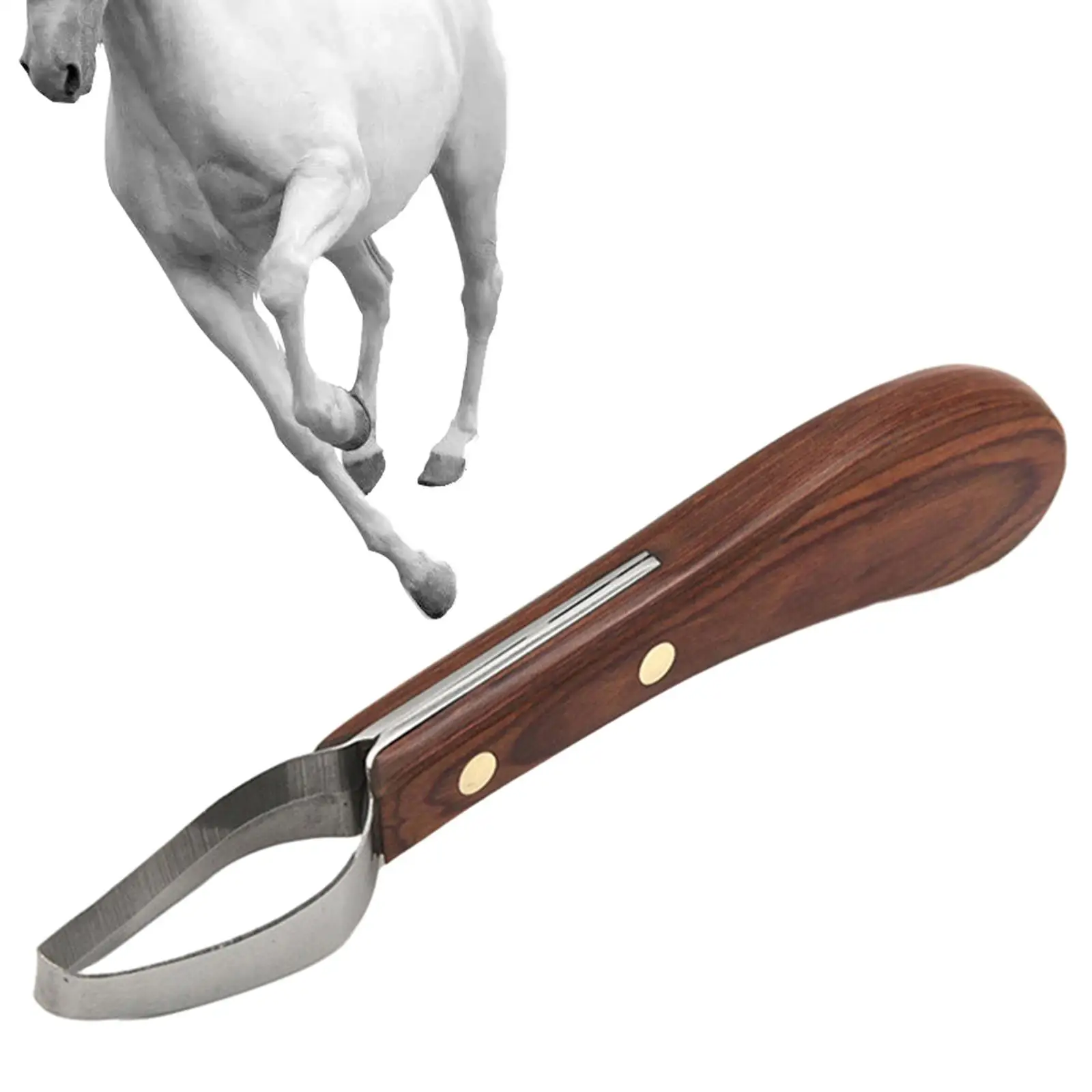 Horse Hoof Knife Hoof Nippers Hoof Repair Tools for Sheep Animal Cattle