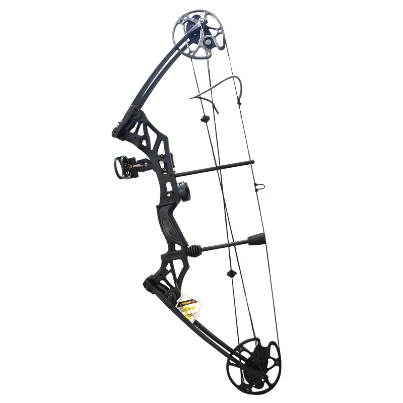 

Archery Compound Bow 30-60lbs Adjustable Right Hand 16-31inch Draw Length 320 FPS Target Shooting Hunting Archery Accessories