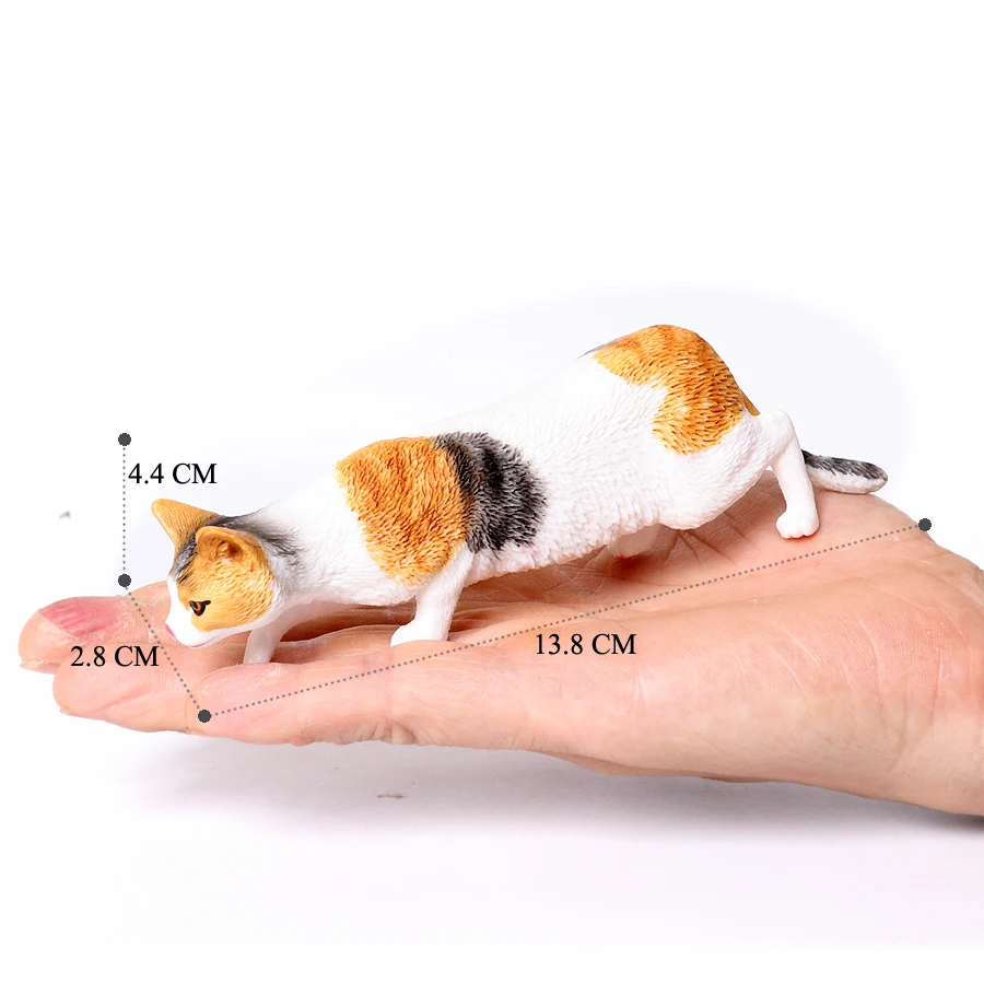 Cat -13
