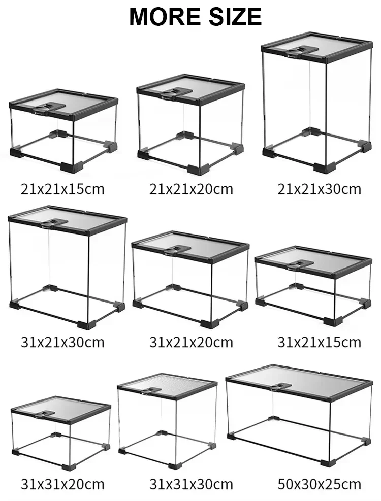 Reptile Feeding Box Assumable Reptile Glass Terrarium