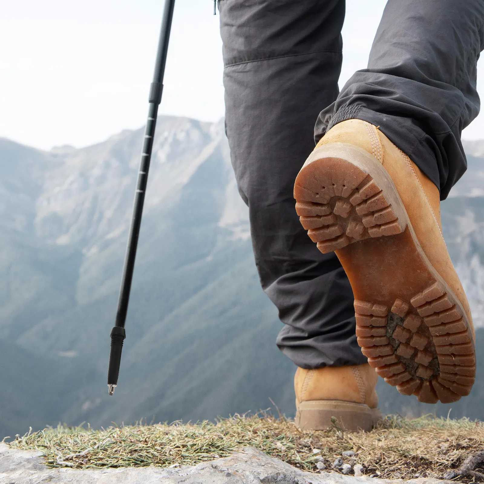 

8Pcs Universal Tungsten Steel Walking Stick Tips Non-Slip Trekking Pole Foot Pads for Hiking Camping Backpacking Cane