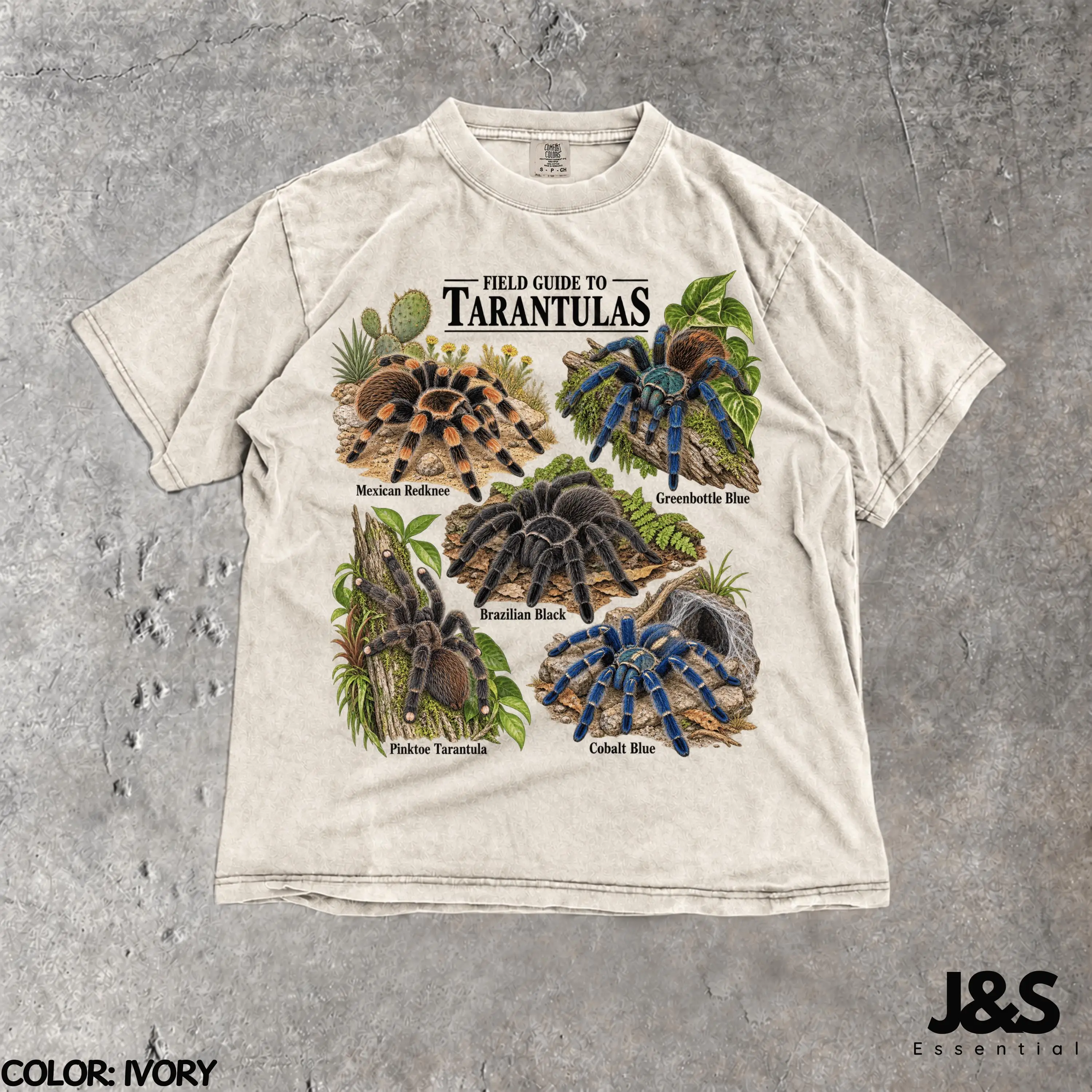 Field Guide To Tarantulas Tshirt, Vintage Tarantula Species Graphic Tee, Retro Spider Identification Shirt, Arachnid Lover