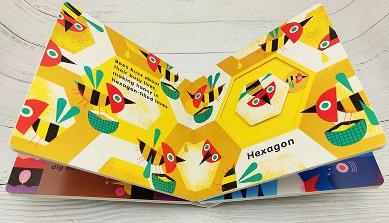5 Wild Shapes, Baby Children's books aged 1 2 3, English picture book 9780711240889