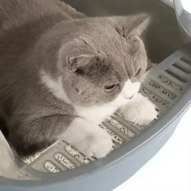 Thumbnail 2 - #36 Latest Cat Bed Pans Updates