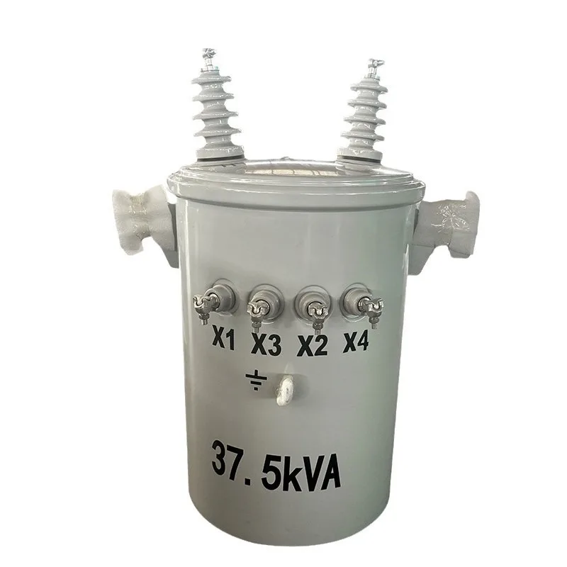 Oil-immersed cooling transformer 100kva 12.47kv/13.2kv/13.8kv 0.4kV single-phase pole-mounted distribution transformer