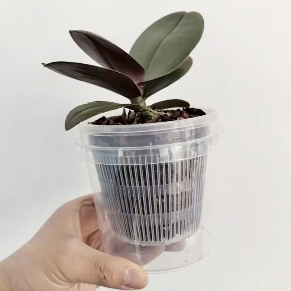 Decorative Office Plant Pot Plastic Self-watering Plant Pot with Water Reservoir Slotted Pot Breathable Root Control for Orchids
