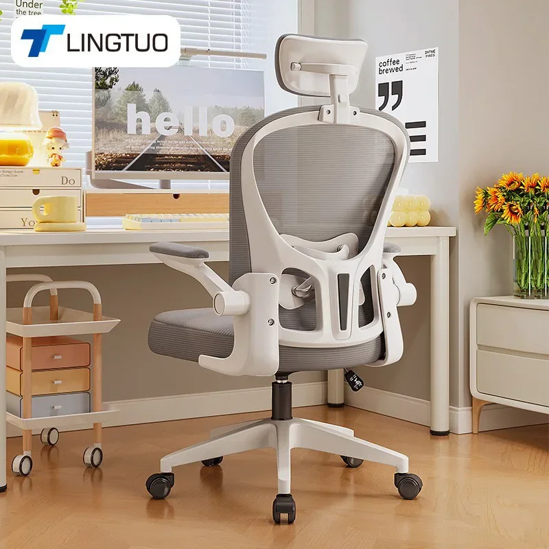 New Model Computer Chair Dormitory Chair Ergonomic Chair Learning Seat Computer Chair With Waist Rest Premium Premium