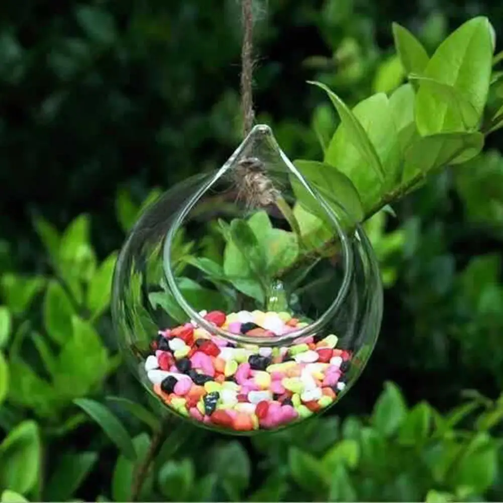 Hanging Glass Propagation Station Clear Terrarium Planter for Flowers Air Hydroponic Plants Small Indoor Flower Vase for Home Ro