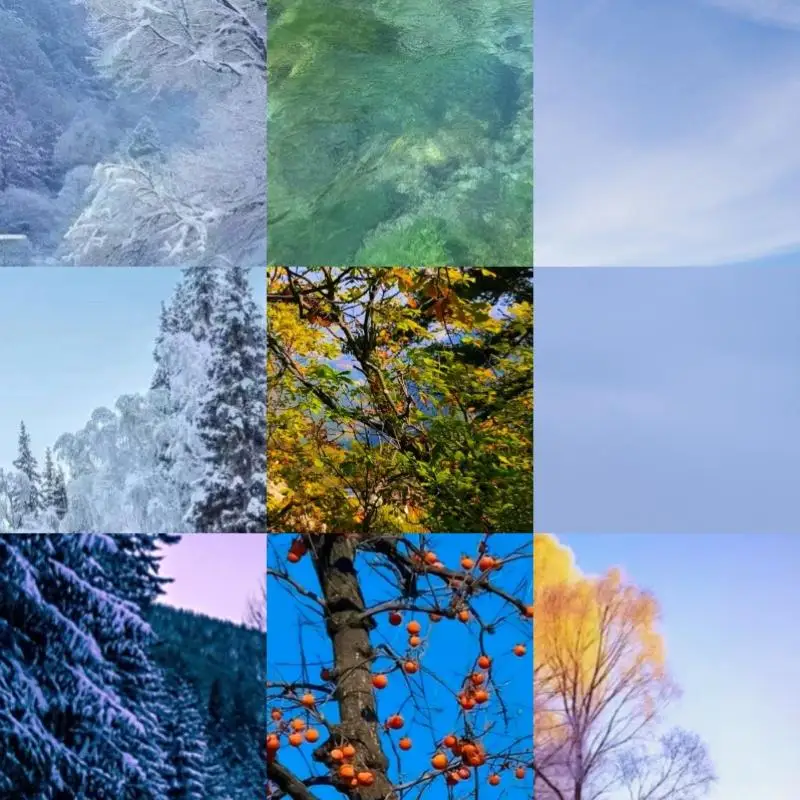 Carrying Case For E…