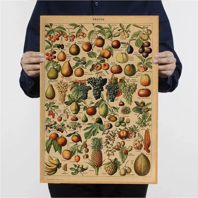 Vintage Vegetable Fruit Mushroom DIY poster For Living Room Bar Decoration Stickers Wall Painting