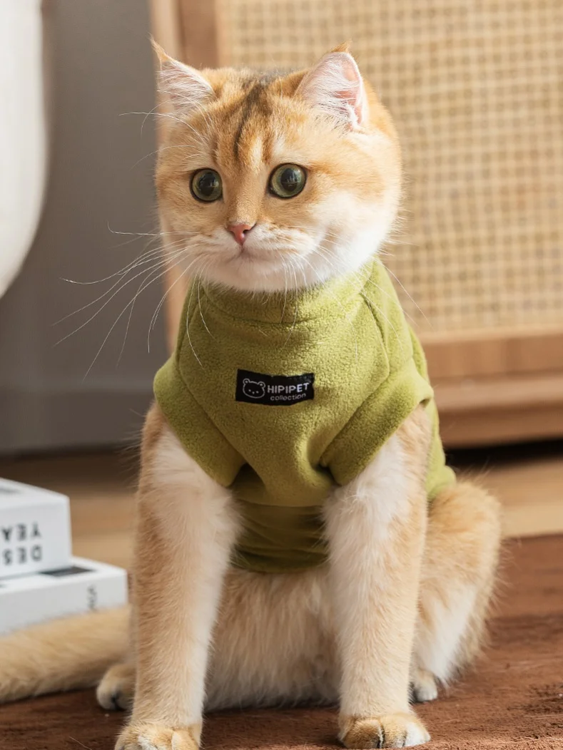 Thiened Autumn Wint…