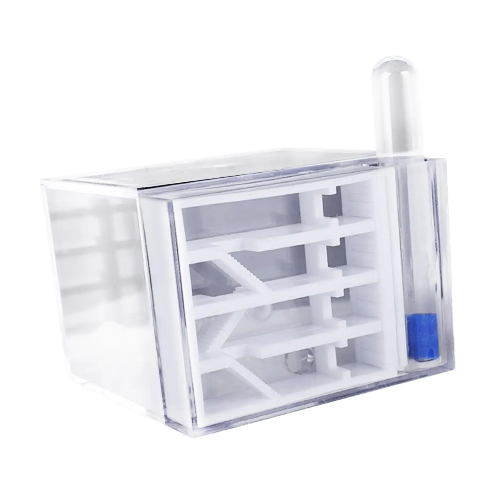 ANT Farm DIY Science Educational Study Easy to Assemble ANT Habitat for Home Decor Birthday Science Observation Childrens Day