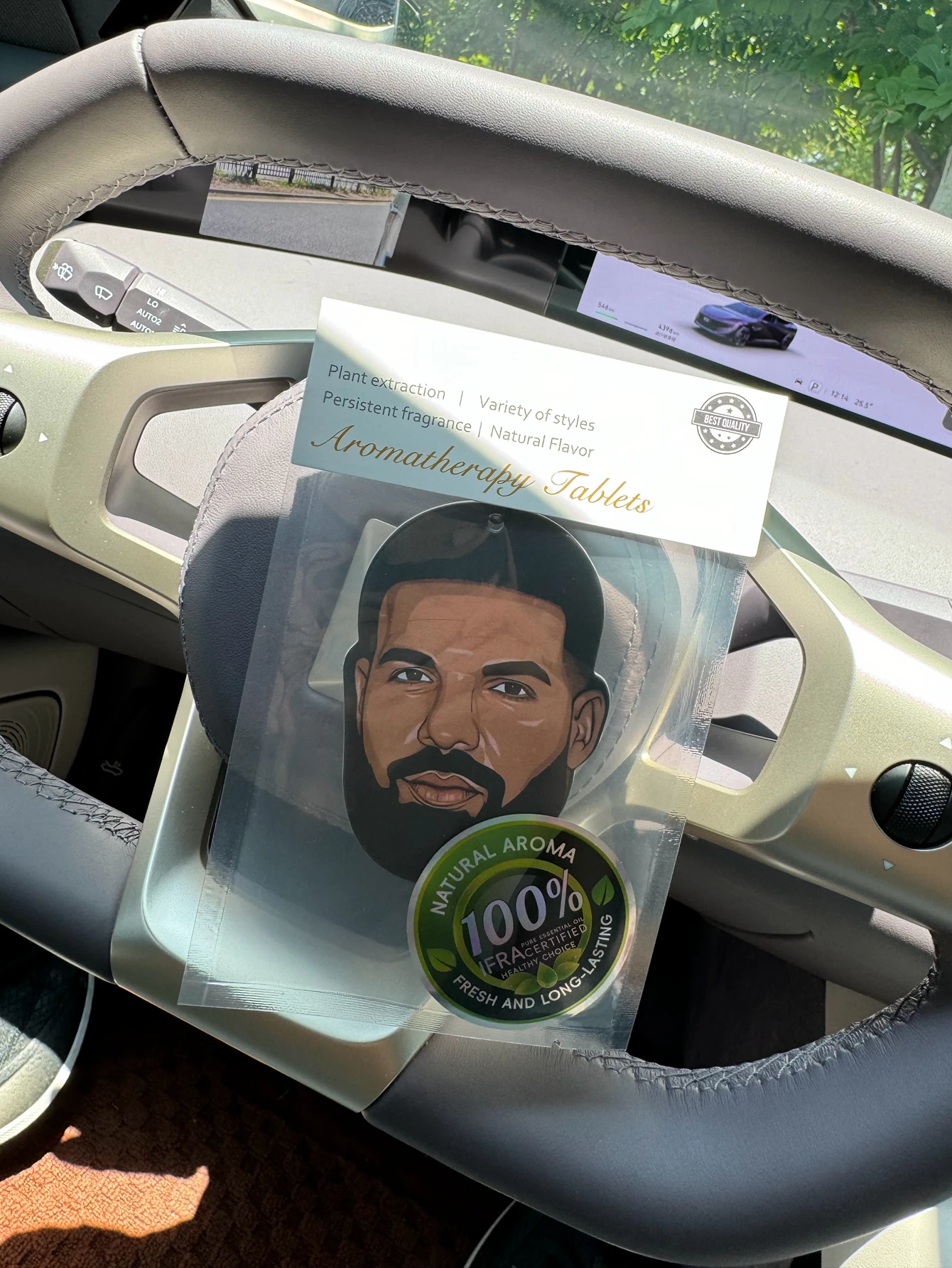 Drake Face Car Aromatherapy Tablet,Wardrobe Air Freshener,Perfume,Rearview Mirror Decoration,Car Jewelry Interior Pendant,Natural Scent Purify