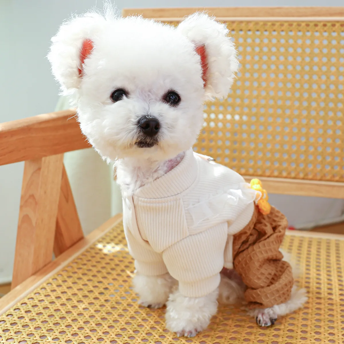 Corduroy Pants Clothing For Dog in 2023 Autumn Winter Pet Tracksuit Jumpsuit Puppy Apparel Chihuahua Pomeranian Animal Overalls