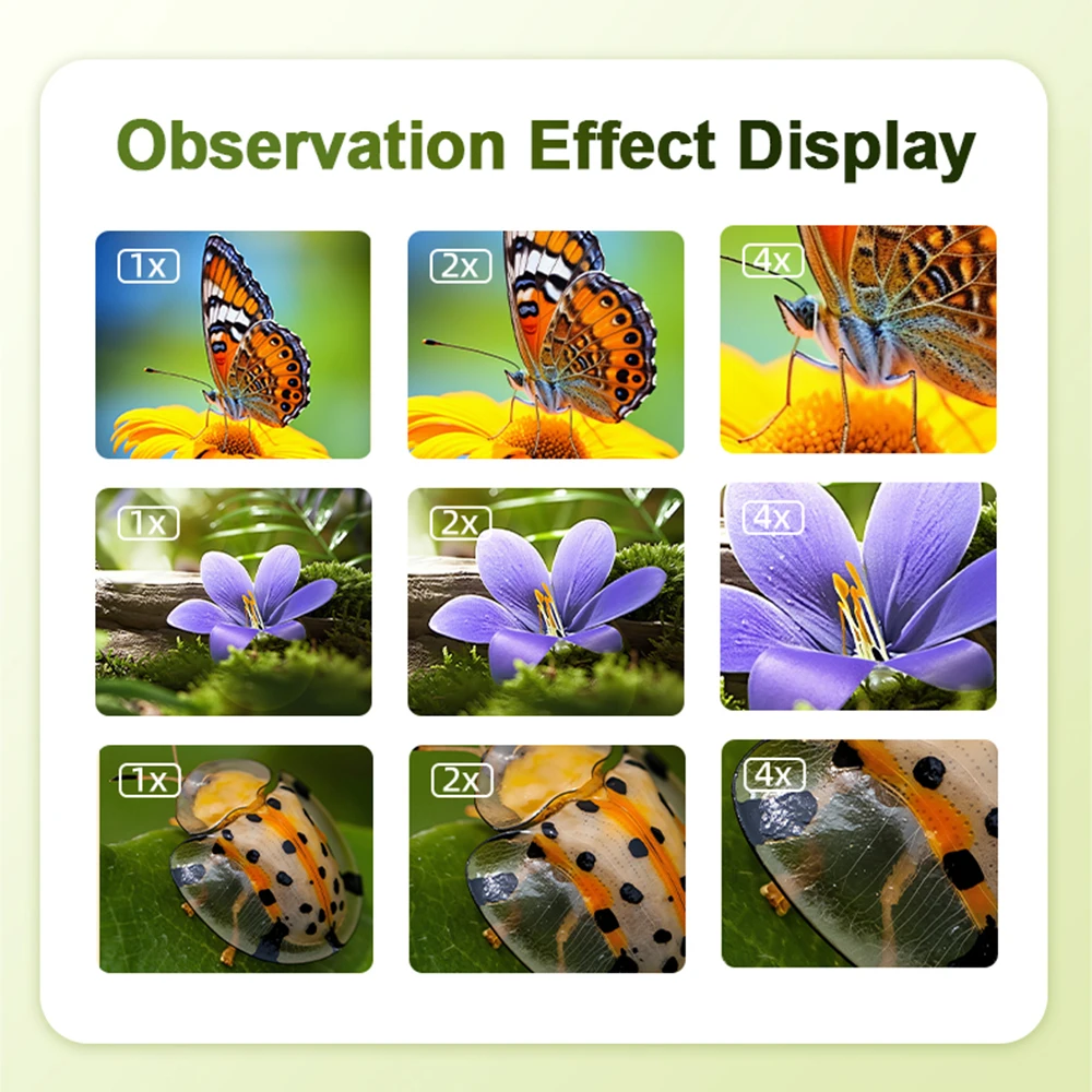 Microscópio infantil portátil portátil, 2 espaços, ampliação, microscópio digital, educação infantil, brinquedo científico, presente