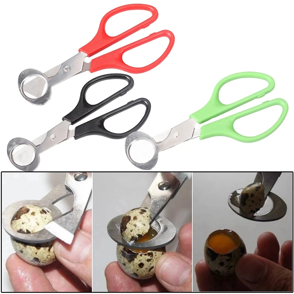 Quail Bird Egg Scissors Stainless Steel Egg Shell Cutters Egg Opener