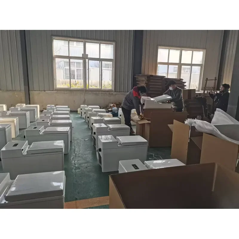 Affordable Biodegradable Compost Toilets Home Waterless Suitable for Arid Regions